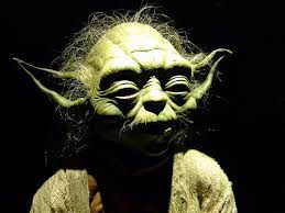 Everyone needs a mentor, right?